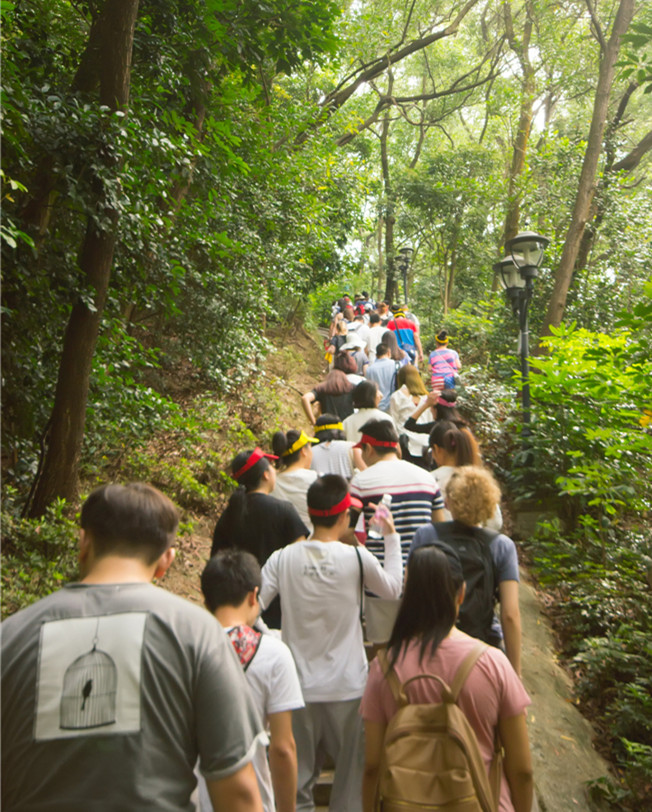 位于珠海市中心的板障山,海拔300多米,1999级台阶的登山小道,爬山走起